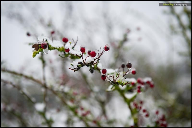 Mixed Bag Photography - nature  photography UK