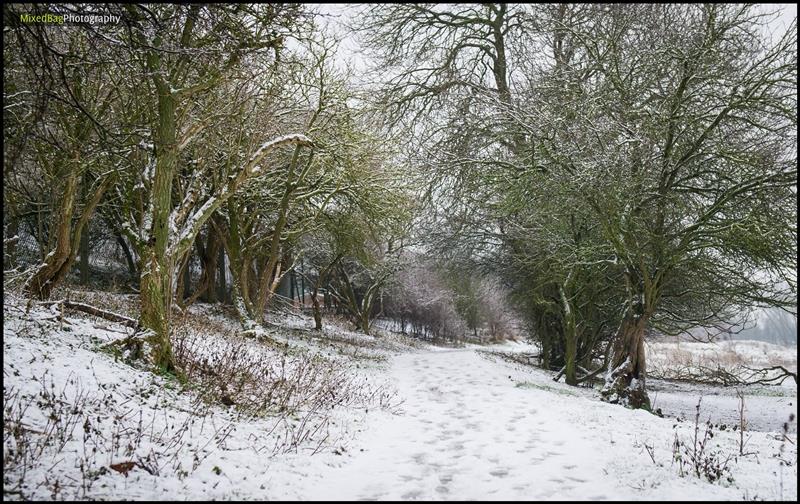 Mixed Bag Photography - nature  photography UK