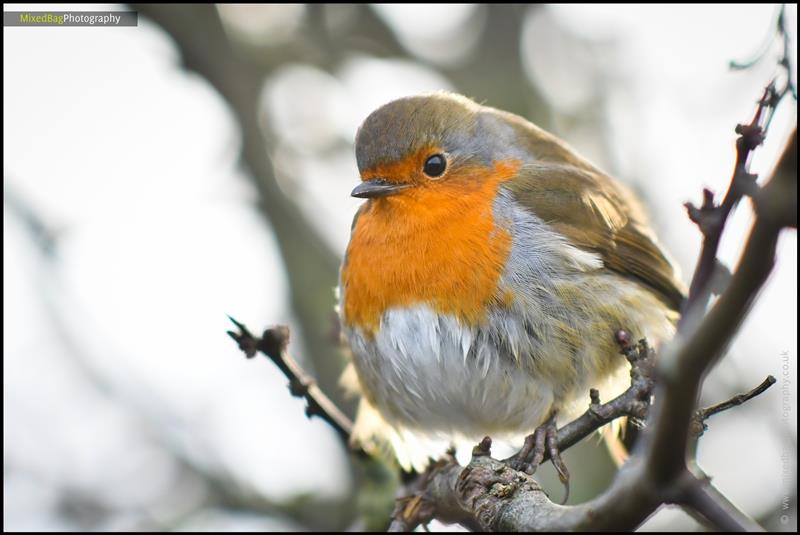 Mixed Bag Photography - nature photography UK