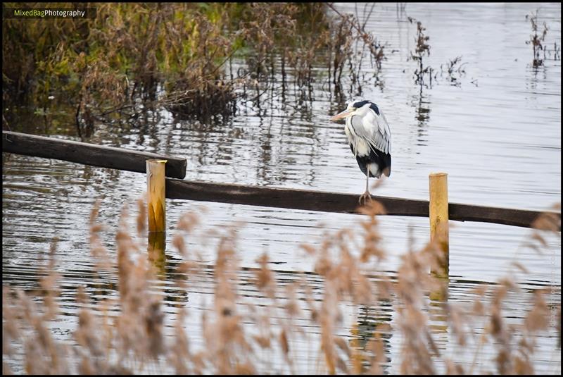 Mixed Bag Photography - nature photography UK