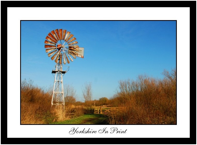 Windmill at Wheldrake Ings