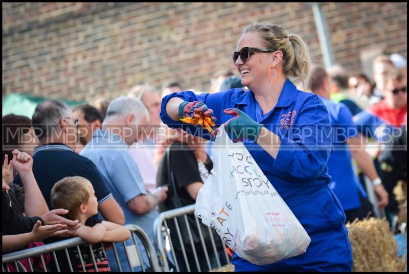 Micklegate Soapbox Challenge 2017 event photography