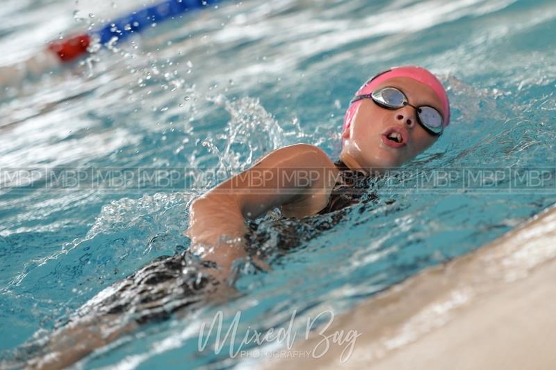 York Junior Triathlon, British Triathlon event photography