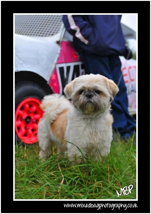 BAS Round 5 - Yorkshire Dales Autograss photography