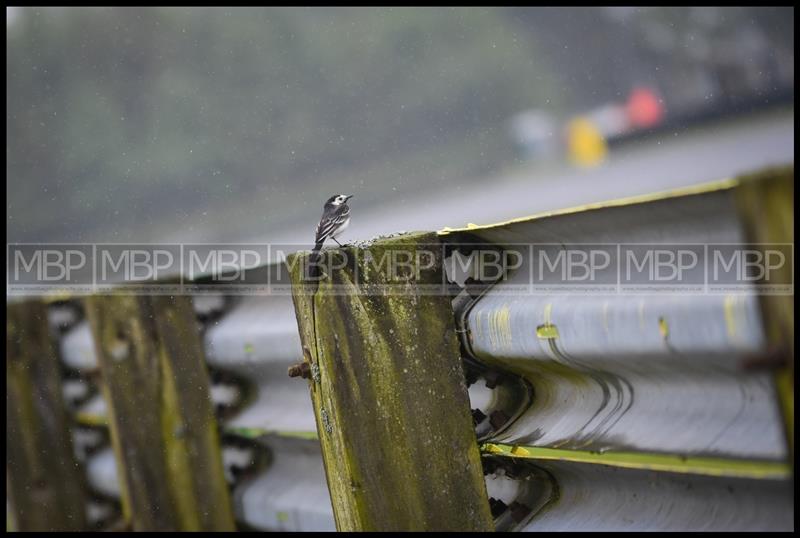 BTCC, Croft (Day 1) photography uk