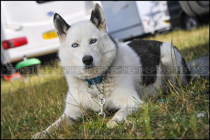 Yorkshire Dales Autograss motorsport photography uk