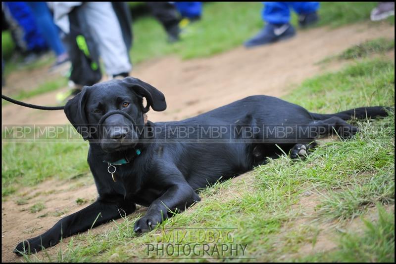 Yorkshire Dales Autograss motorsport photography uk