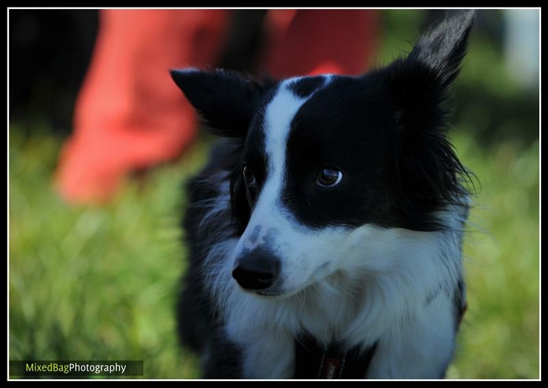 Yorkshire Dales Autograss photography